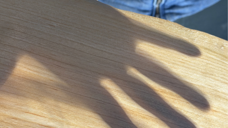 光が透けるほど薄い木